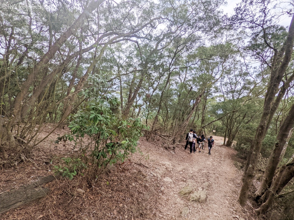 PXL_20220417_013000889.jpg PXL_20220417_013000889.jpg