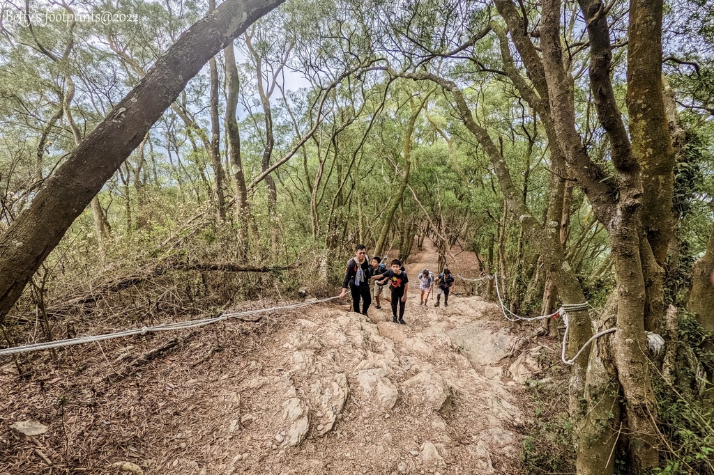 PXL_20220417_013319618.jpg PXL_20220417_013319618.jpg