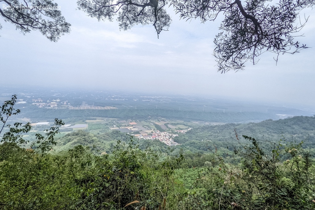 PXL_20220417_013544310.jpg PXL_20220417_013544310.jpg