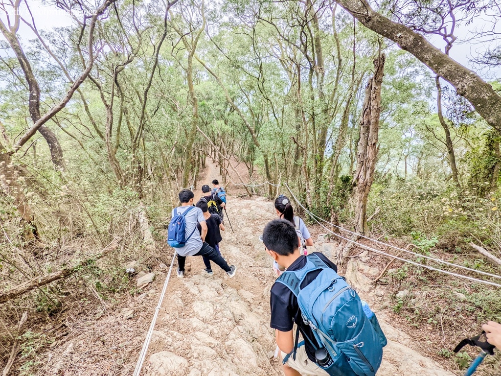 PXL_20220417_034806229.jpg PXL_20220417_034806229.jpg