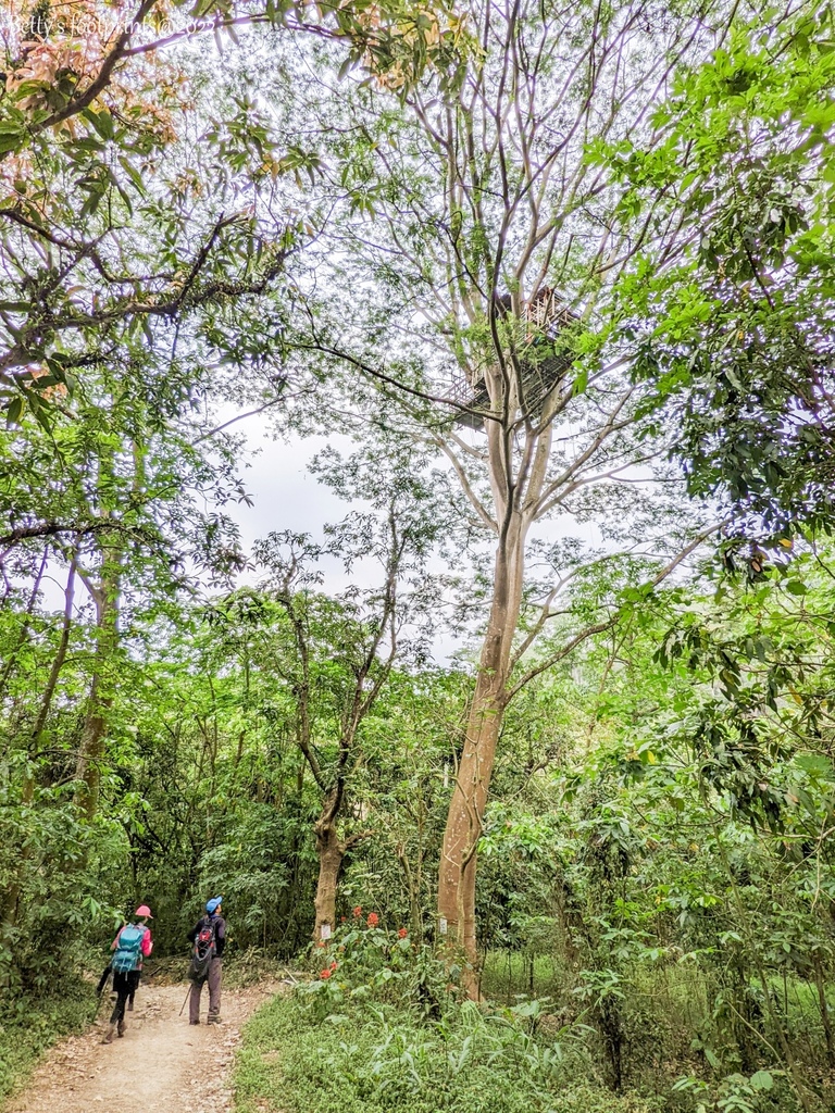 PXL_20220417_041853765.jpg PXL_20220417_041853765.jpg