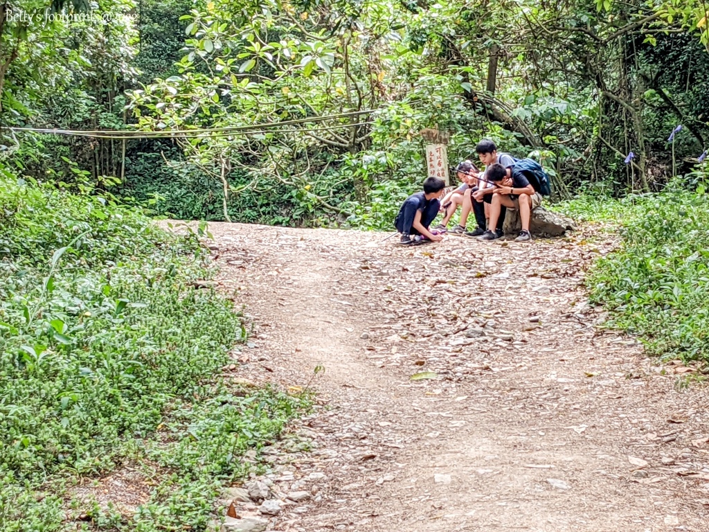 PXL_20220417_042209849.jpg PXL_20220417_042209849.jpg