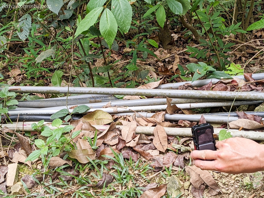 PXL_20220417_042939801.jpg PXL_20220417_042939801.jpg