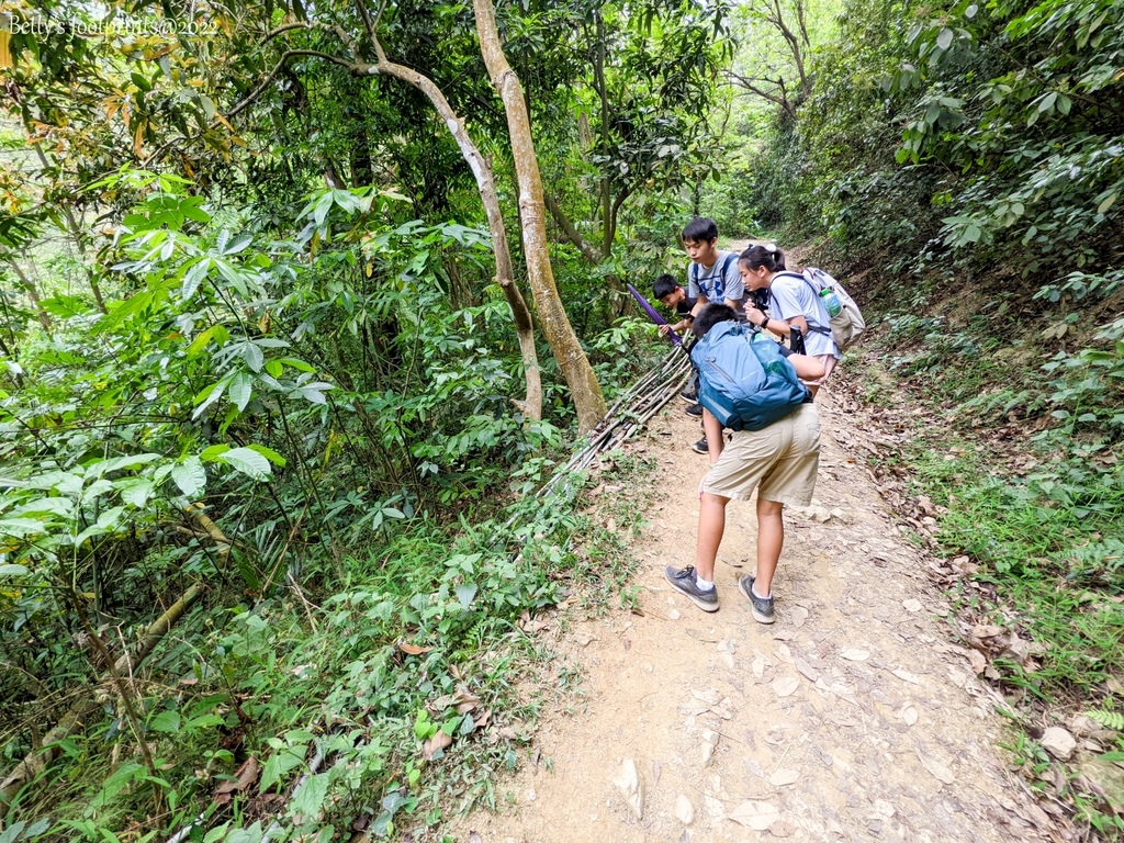 PXL_20220417_043024682.jpg PXL_20220417_043024682.jpg