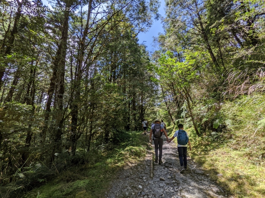 PXL_20220724_050729243.jpg PXL_20220724_050729243.jpg