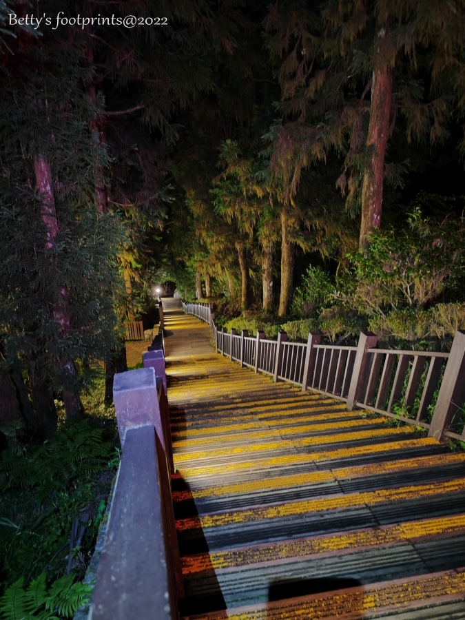 IMG_20220723_221102.jpg IMG_20220723_221102.jpg