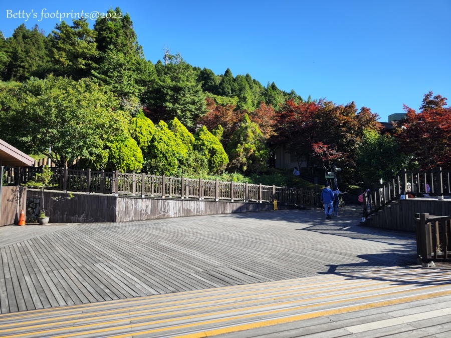 IMG_20220724_073546.jpg IMG_20220724_073546.jpg