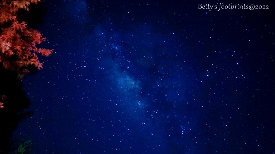 1662694146030.jpg 1662694146030.jpg