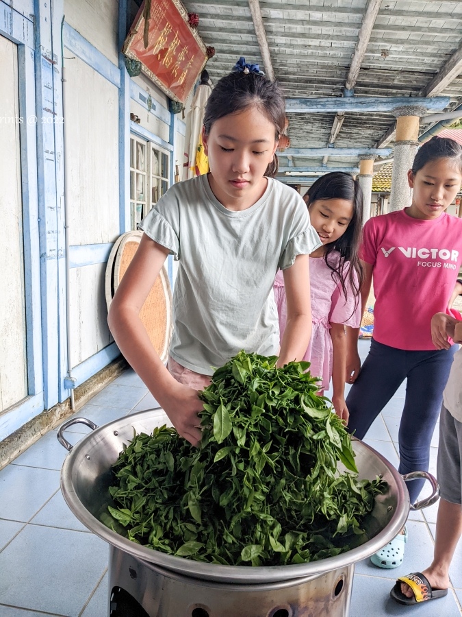 PXL_20220703_035344035.MP.jpg PXL_20220703_035344035.MP.jpg