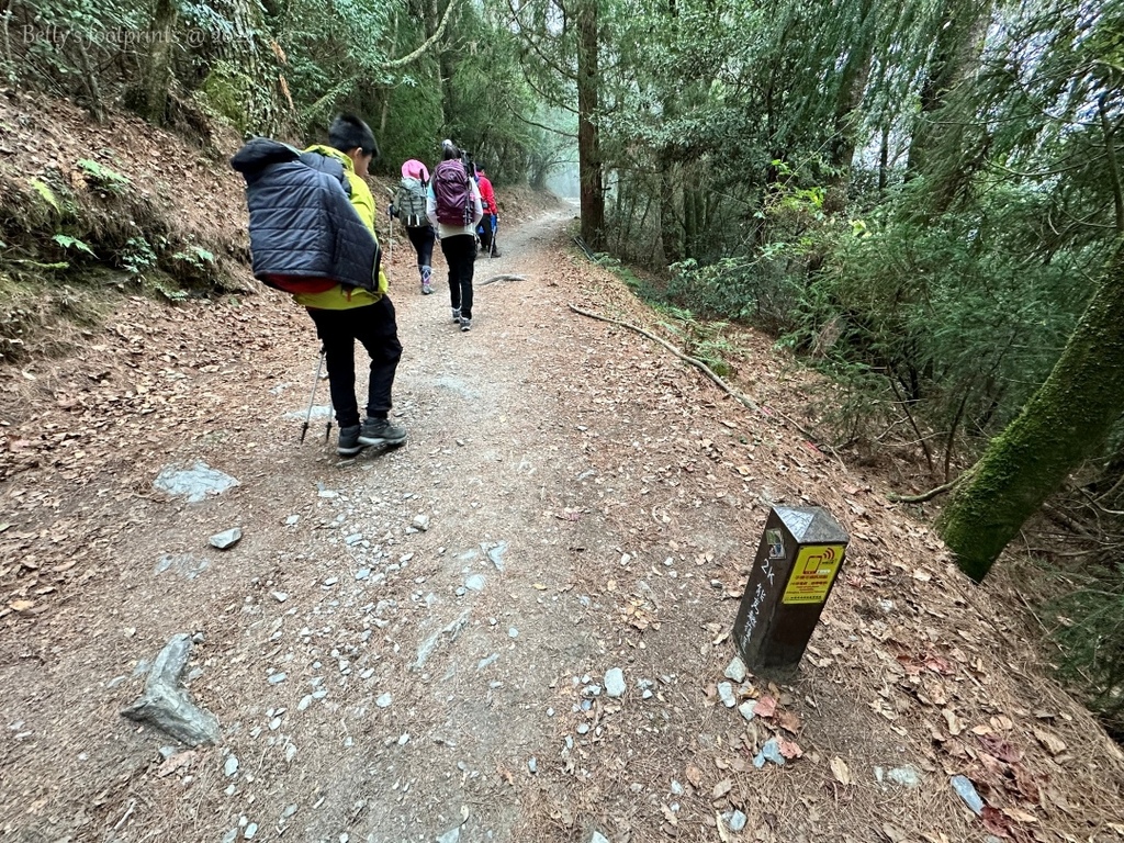 IMG_3894 conv.jpeg IMG_3894 conv.jpeg