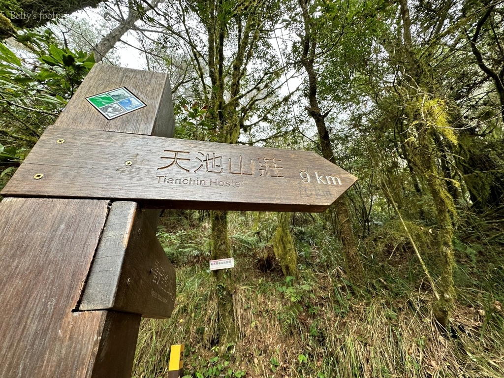 IMG_3897 conv.jpeg IMG_3897 conv.jpeg