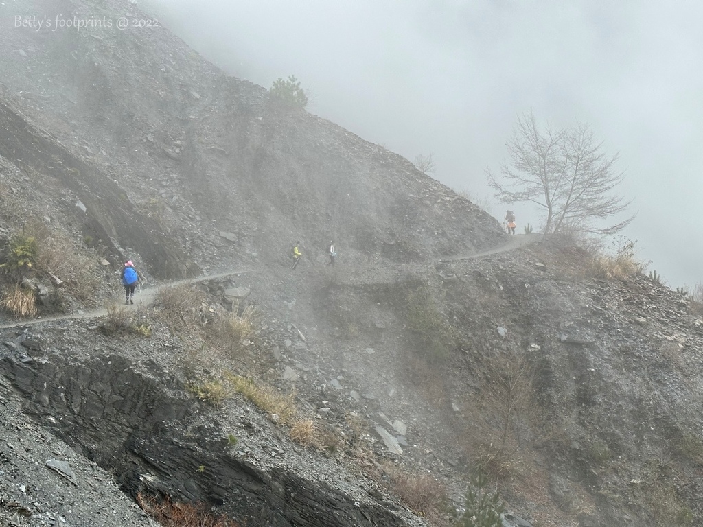 IMG_3924 conv.jpeg IMG_3924 conv.jpeg