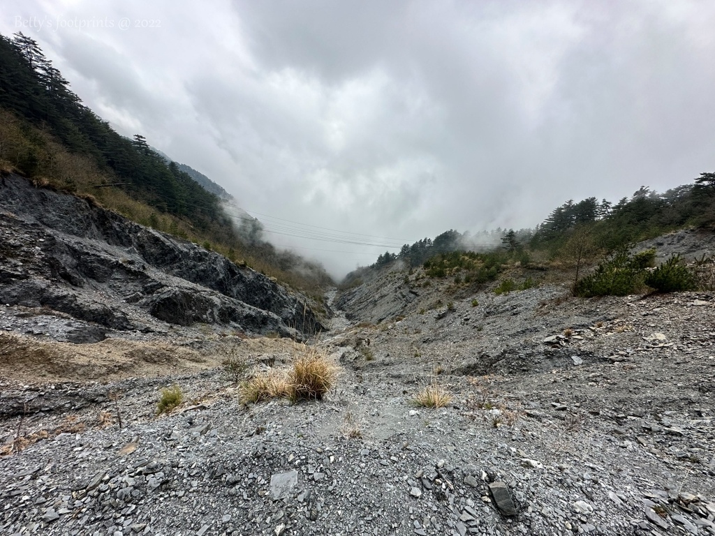 IMG_3928 conv.jpeg IMG_3928 conv.jpeg