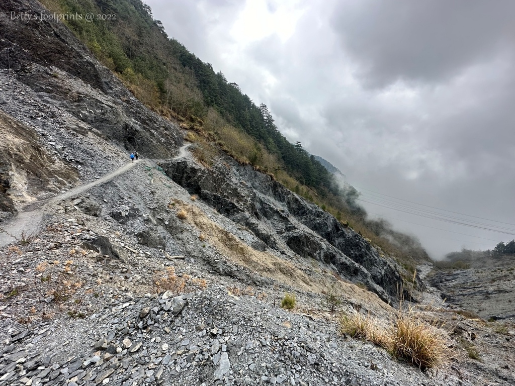 IMG_3930 conv.jpeg IMG_3930 conv.jpeg