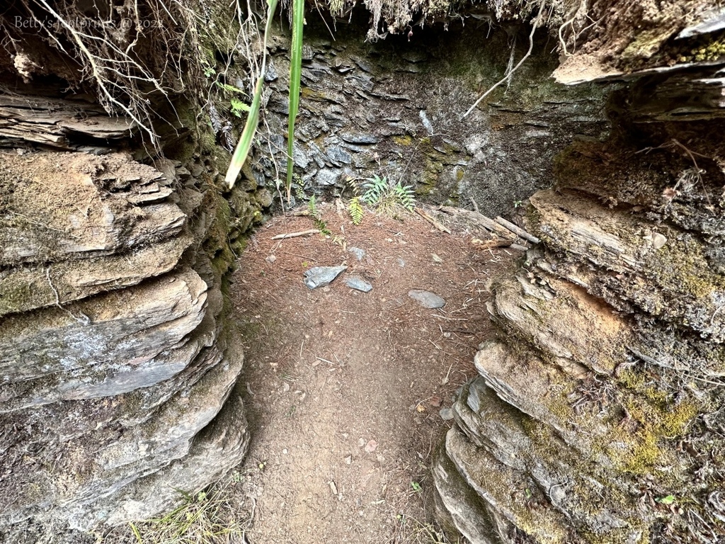 IMG_3944 conv.jpeg IMG_3944 conv.jpeg