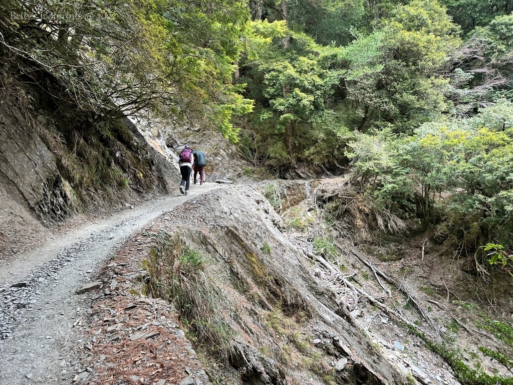 IMG_3949 conv.jpeg IMG_3949 conv.jpeg