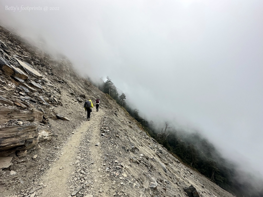 IMG_3958 conv.jpeg IMG_3958 conv.jpeg