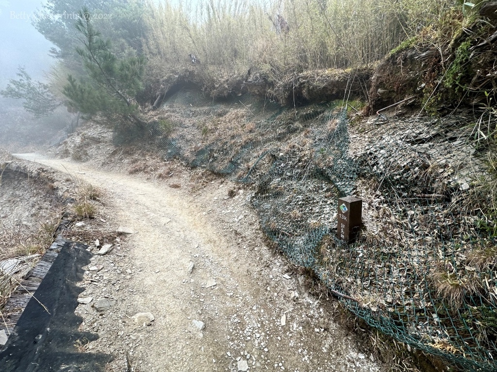 IMG_3968 conv.jpeg IMG_3968 conv.jpeg