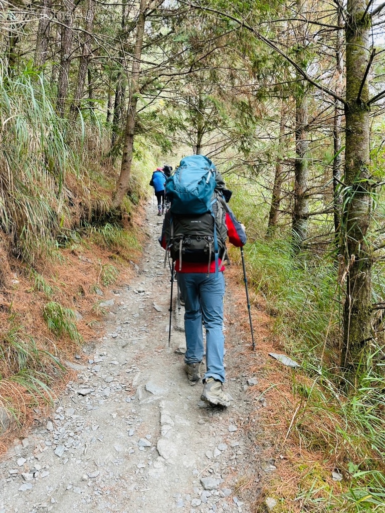 LINE_ALBUM_228能高越嶺古道奇萊南峰_2303051.jpg LINE_ALBUM_228能高越嶺古道奇萊南峰_2303051.jpg