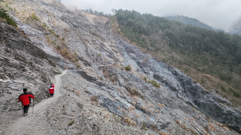 IMG_20230226_112741.jpg IMG_20230226_112741.jpg