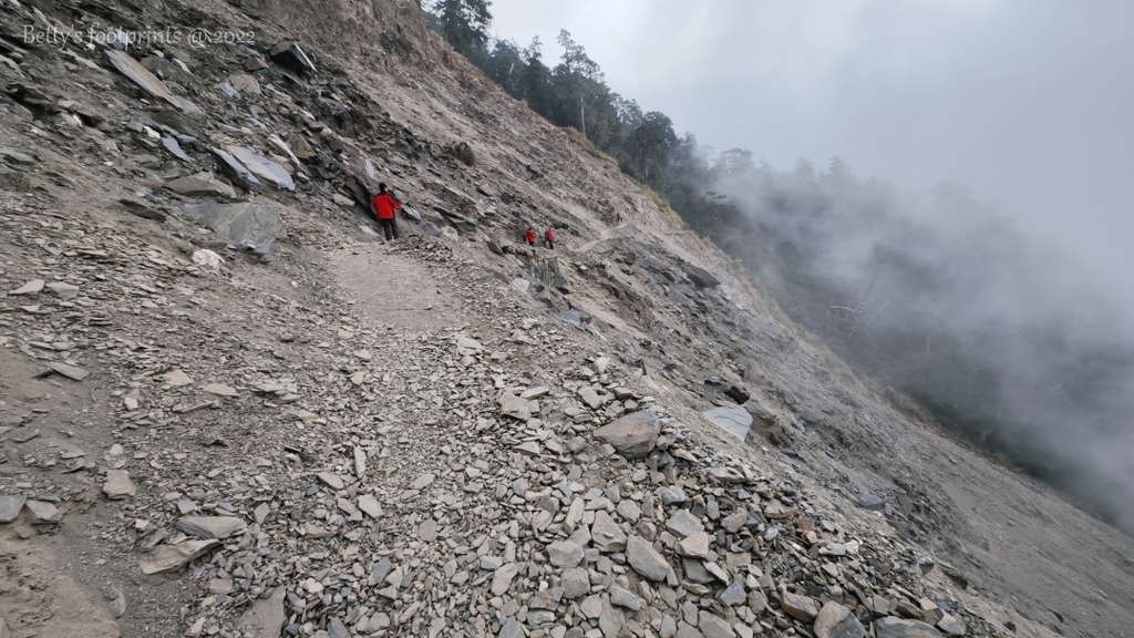 IMG_20230226_140839.jpg IMG_20230226_140839.jpg