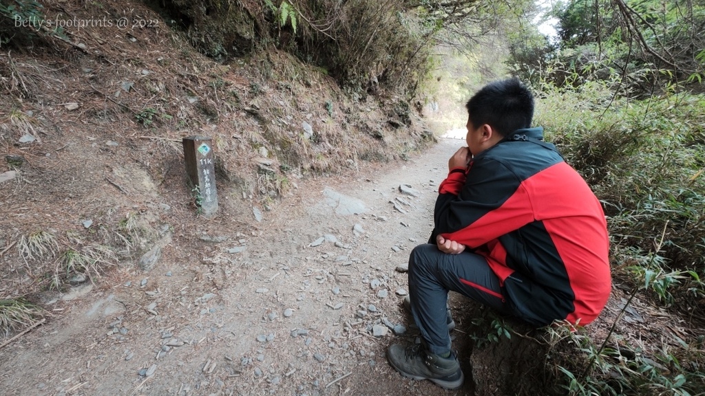 IMG_20230226_144039.jpg IMG_20230226_144039.jpg