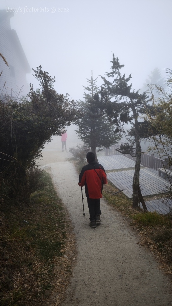 IMG_20230226_155610.jpg IMG_20230226_155610.jpg