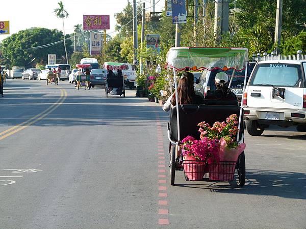 0061彰化縣田尾鄉田尾公路花園