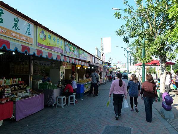 0062彰化縣田尾鄉田尾公路花園