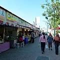 0062彰化縣田尾鄉田尾公路花園