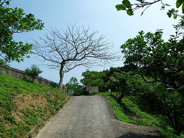 0212苗栗縣西湖鄉柚子山步道