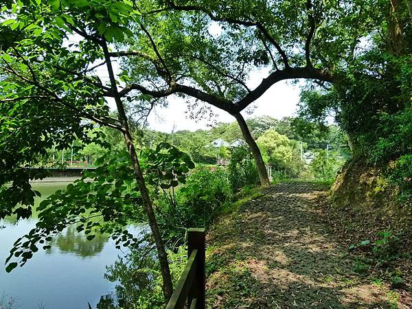 0318苗栗縣三灣鄉銅鏡環湖步道