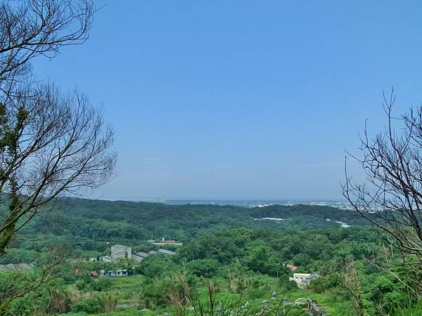 0466苗栗縣造橋鄉口山步道