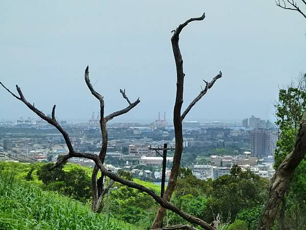 0181台中市清水區鰲峰山公園