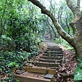0146彰化縣彰化市桃源里森林步道