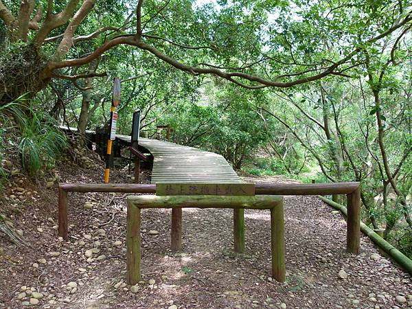 0361台中市大肚區環保公園登山步道