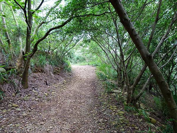 0364台中市大肚區環保公園登山步道