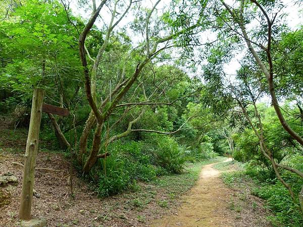 0367台中市大肚區環保公園登山步道