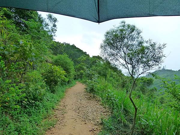 0379台中市大肚區環保公園登山步道