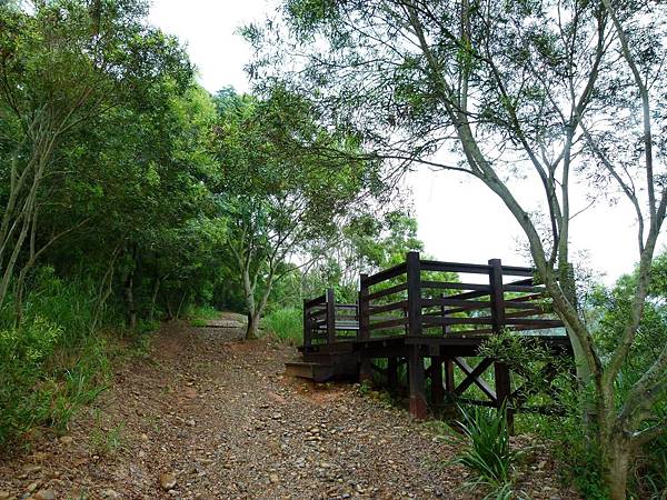 0381台中市大肚區環保公園登山步道