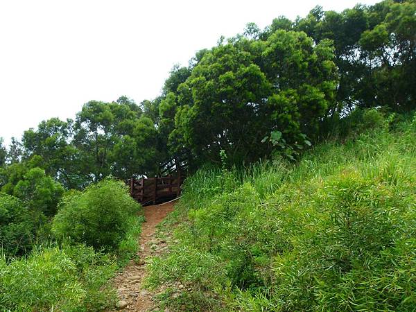 0387台中市大肚區環保公園登山步道