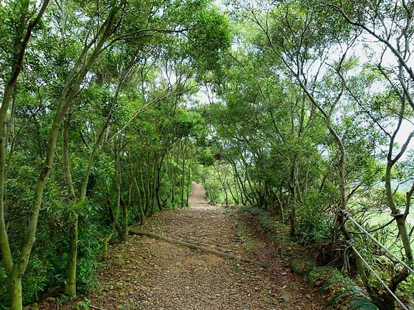 0389台中市大肚區環保公園登山步道