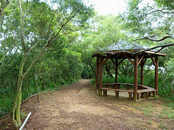 0390台中市大肚區環保公園登山步道