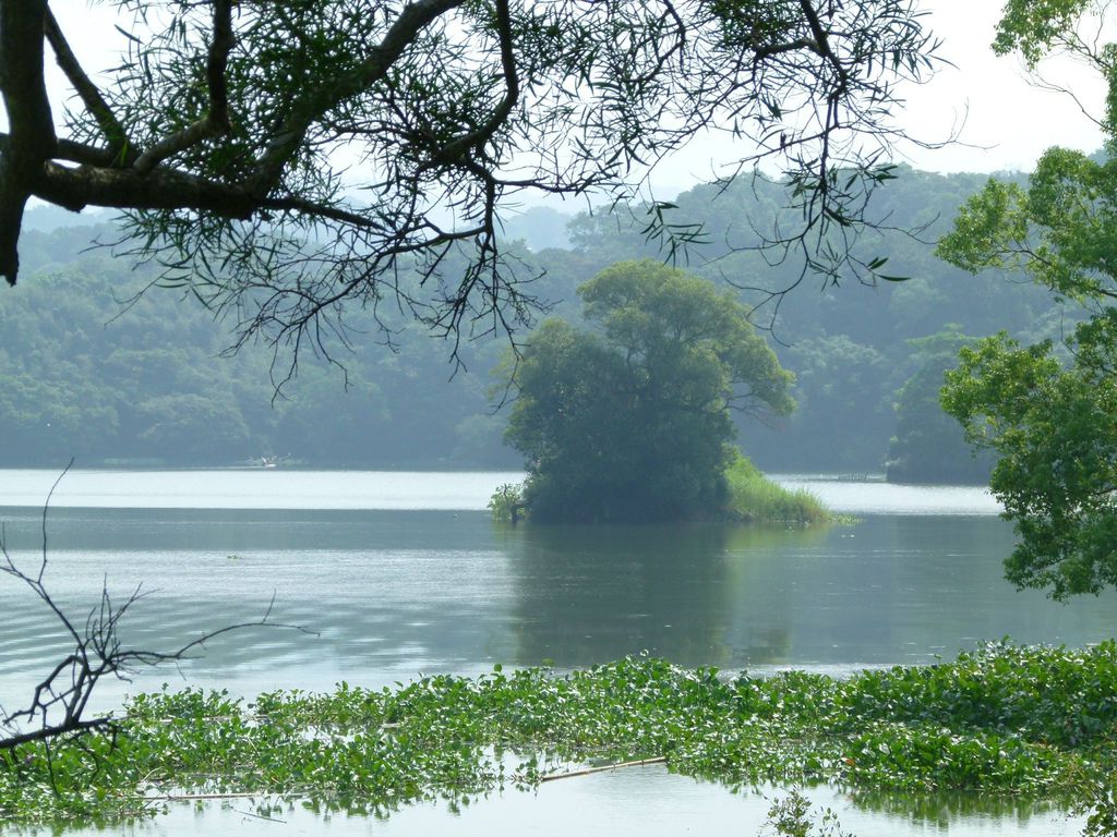 0062新竹縣峨眉鄉峨眉湖（大埔水庫）