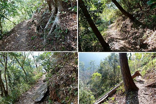 0532南投縣仁愛鄉惠蓀林場松風山步道