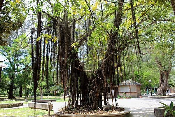 0380嘉義縣朴子市朴子藝術公園