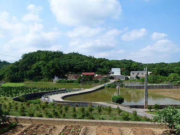 0884苗栗縣頭份鎮尖豐產業道路