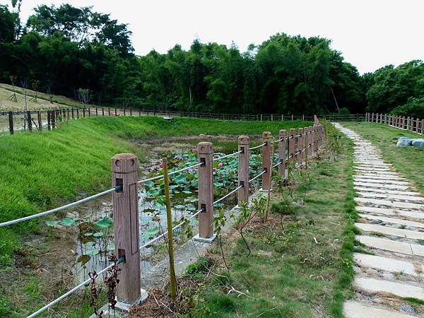 0907苗栗縣頭份鎮鹿廚坑步道