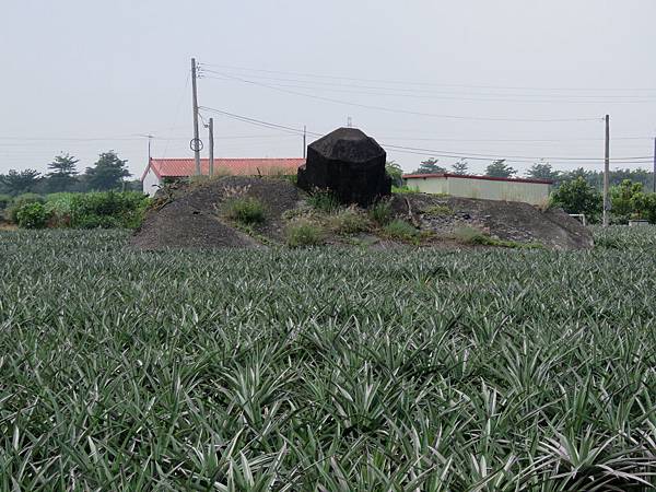 0457屏東縣新埤鄉箕湖村古碉堡公園