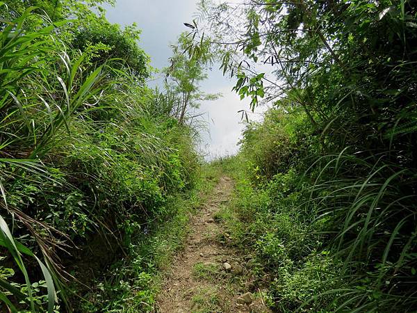 0689屏東縣滿州鄉門馬羅山